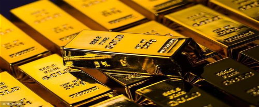 世界首例！广东医生将基因编辑猪肺移植到人体